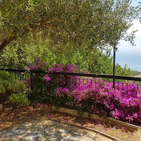 Villino Buganvillea Noli * Voze