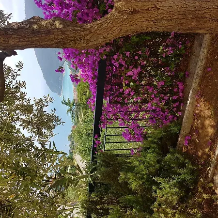 Villino Buganvillea Noli Voze