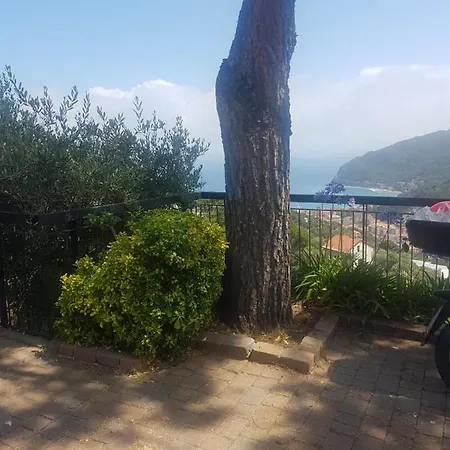 Villino Buganvillea Noli Voze
